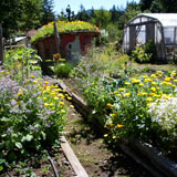 garden-beds160x160