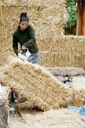 strawbale167x250