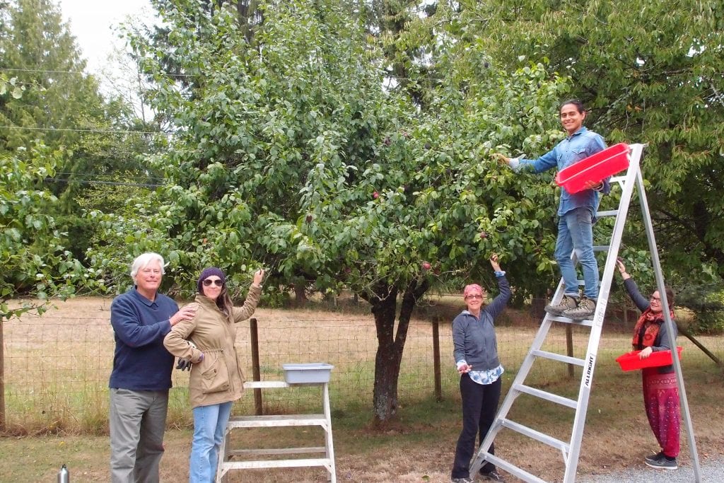 volunteers