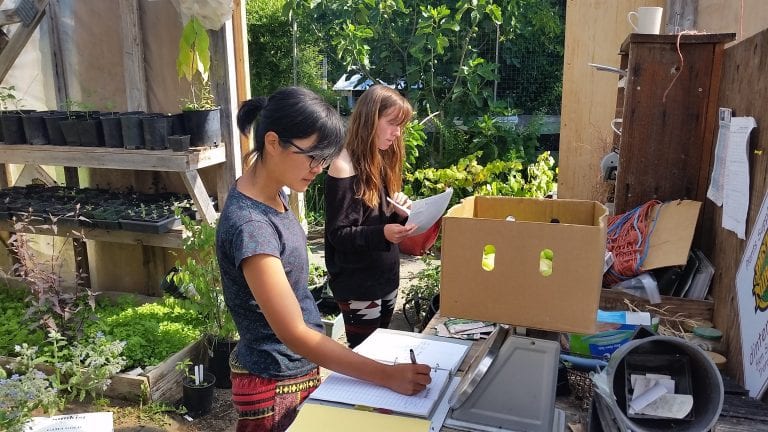 Volunteers organizing boxes