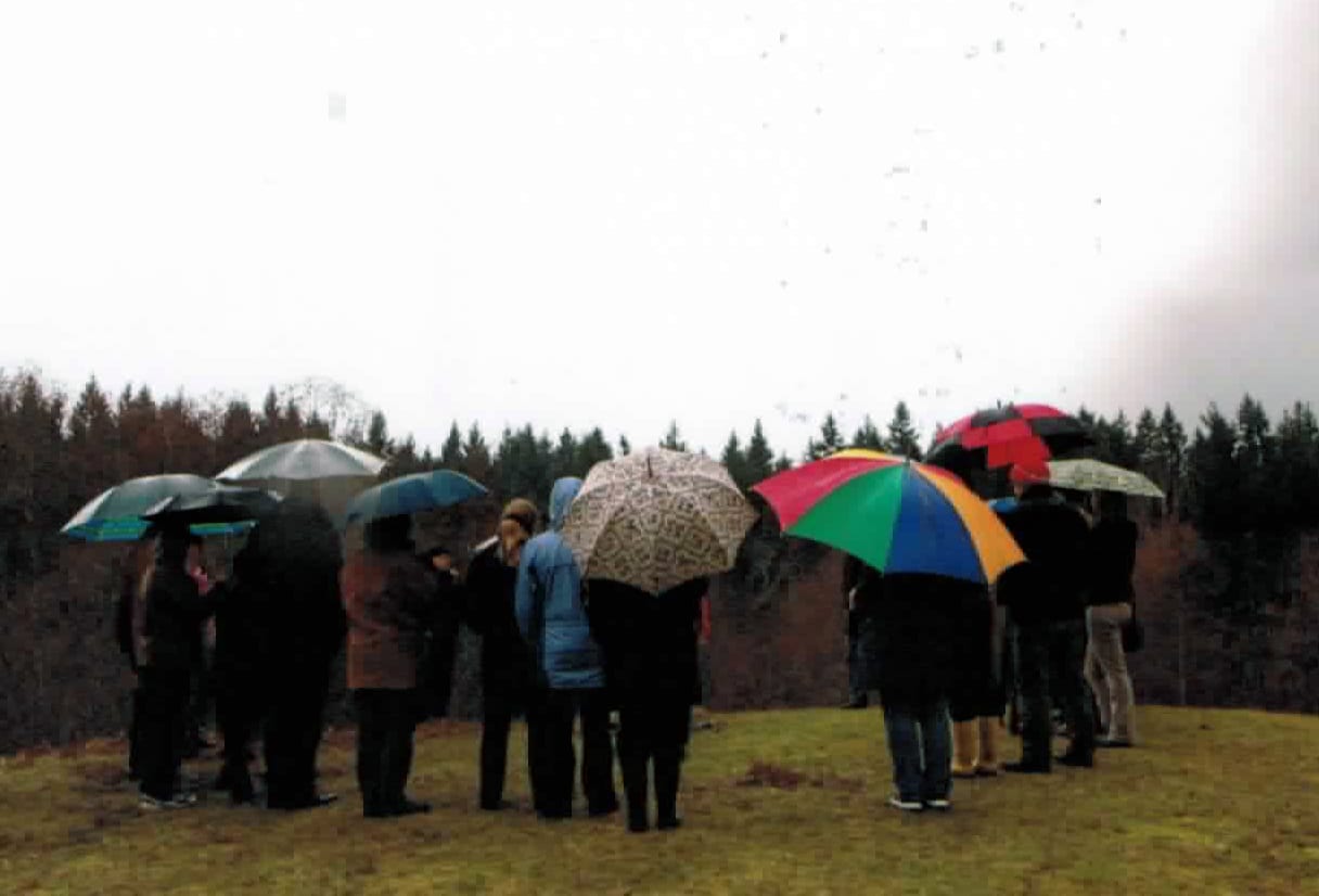 group with umbrellas