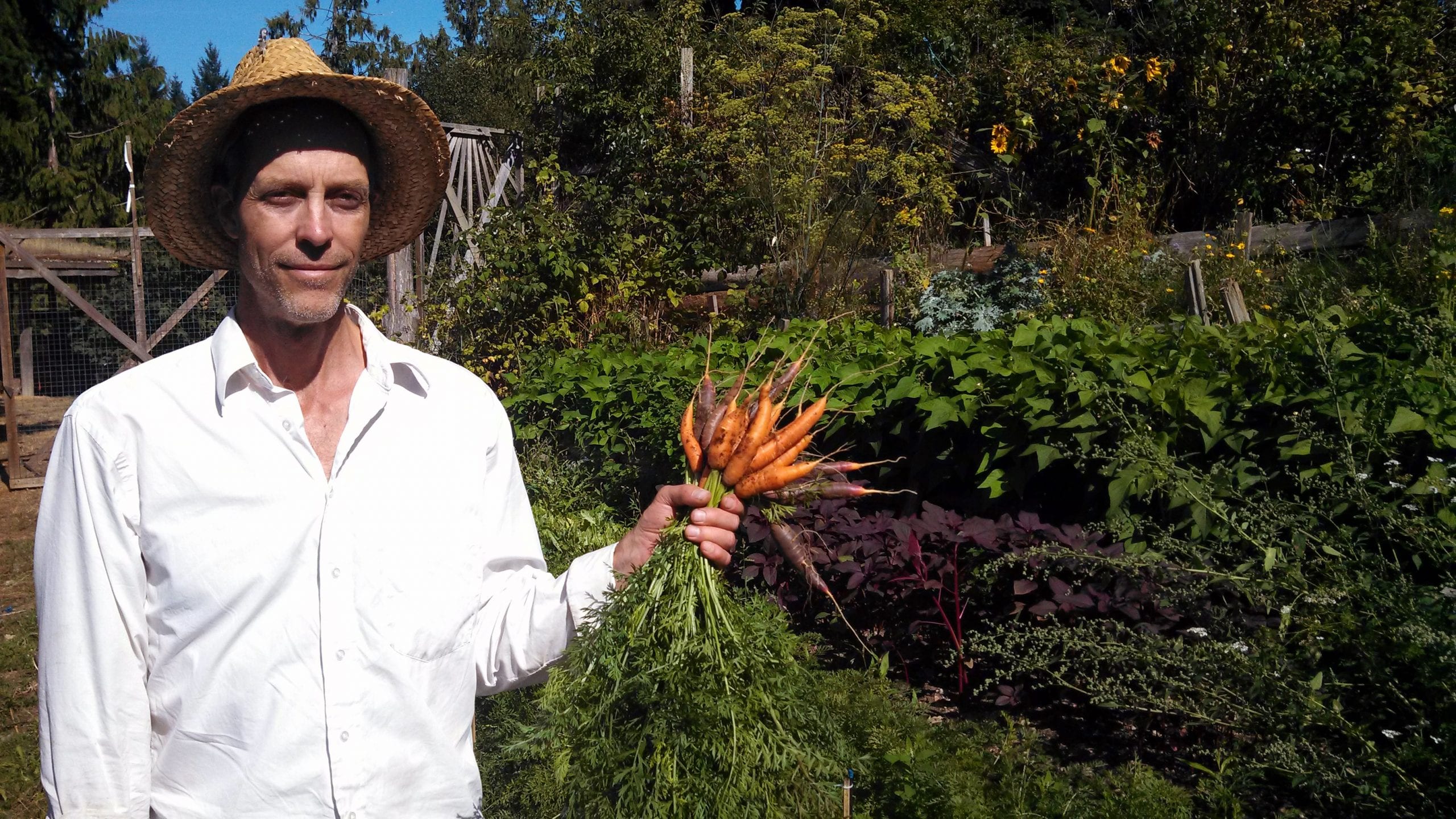 20140822_grant_garden photo Man holding freshly picked carrots in a garden