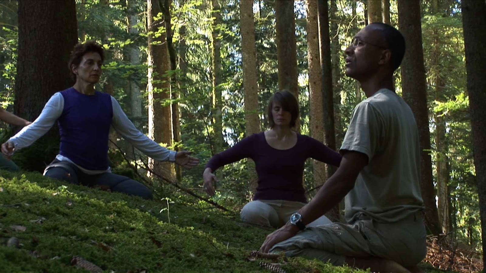 meditating in a forest