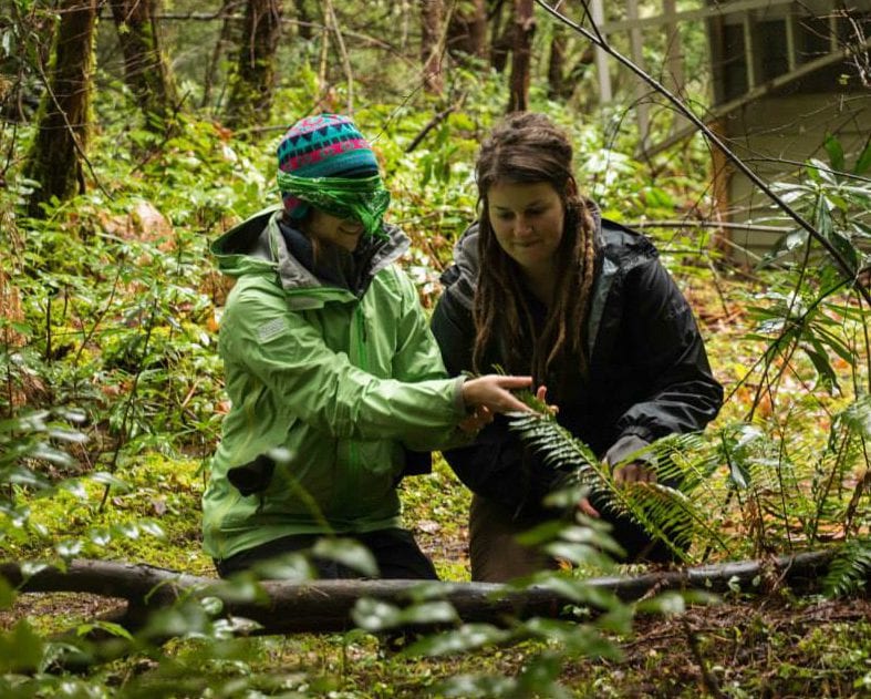 looking at fauna in the forest