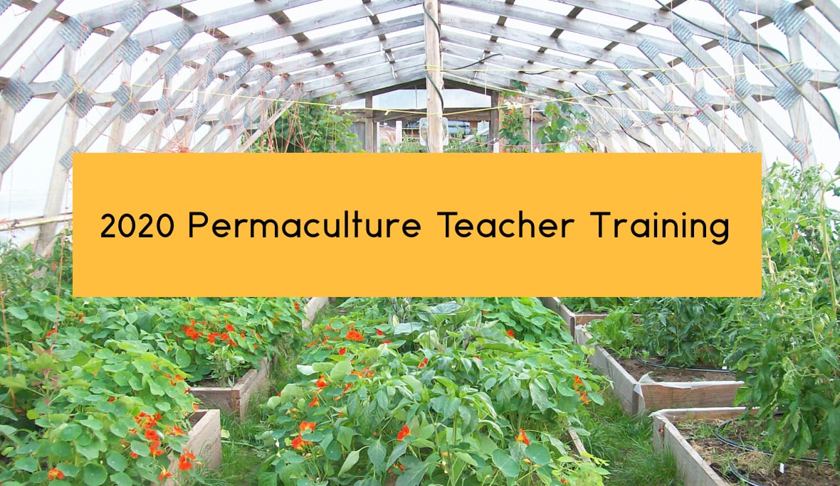 Permaculture Teacher Training