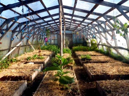 Permaculture Greenhouse