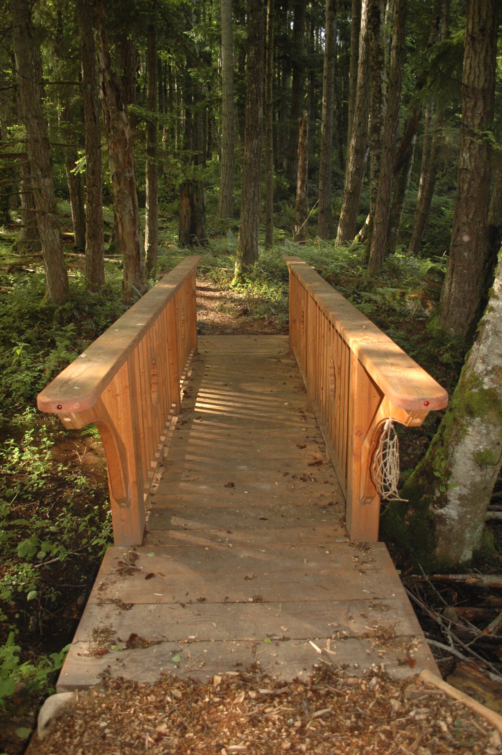 bridge_5207509958_o