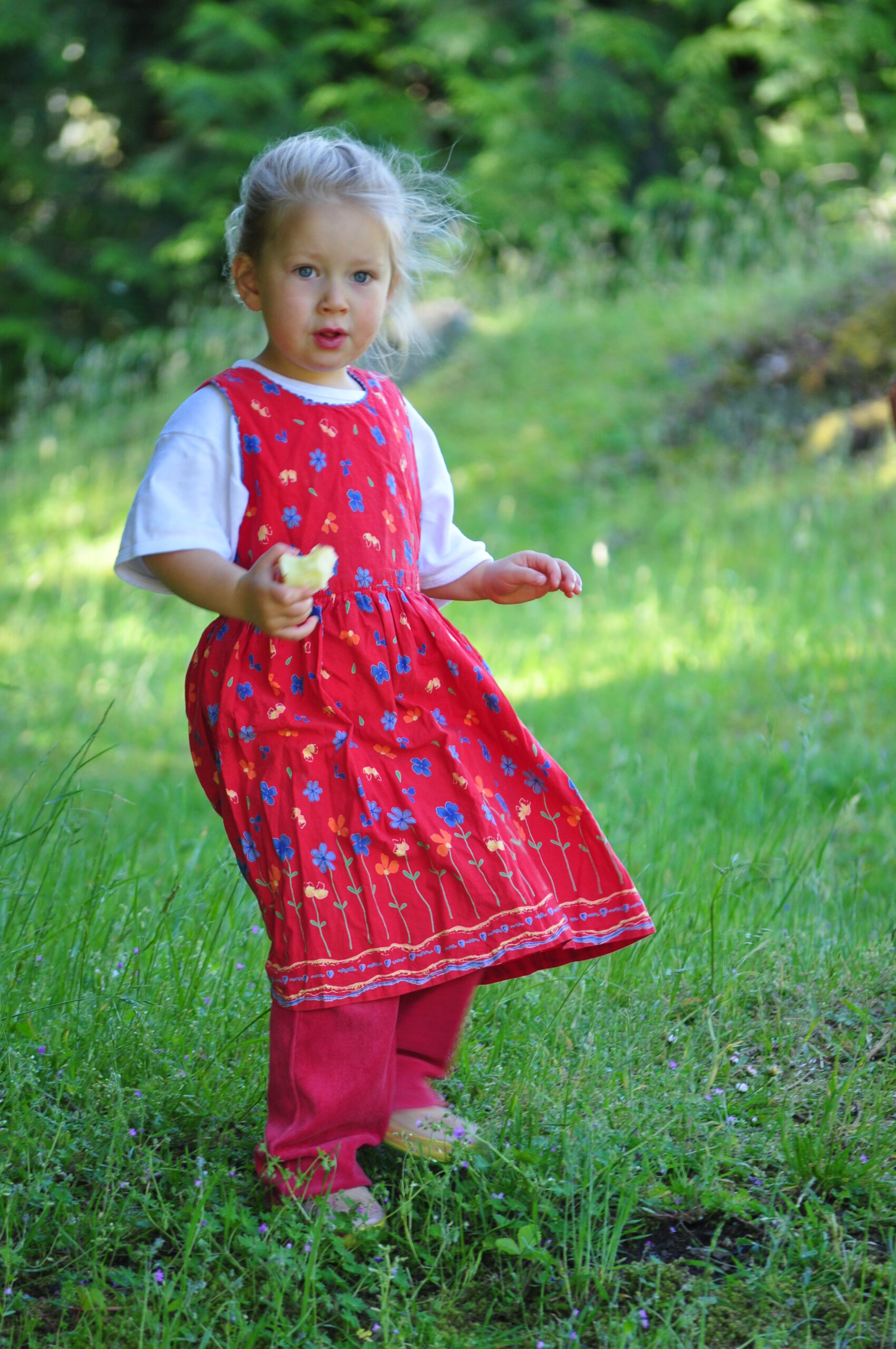 little-one_5206974531_o