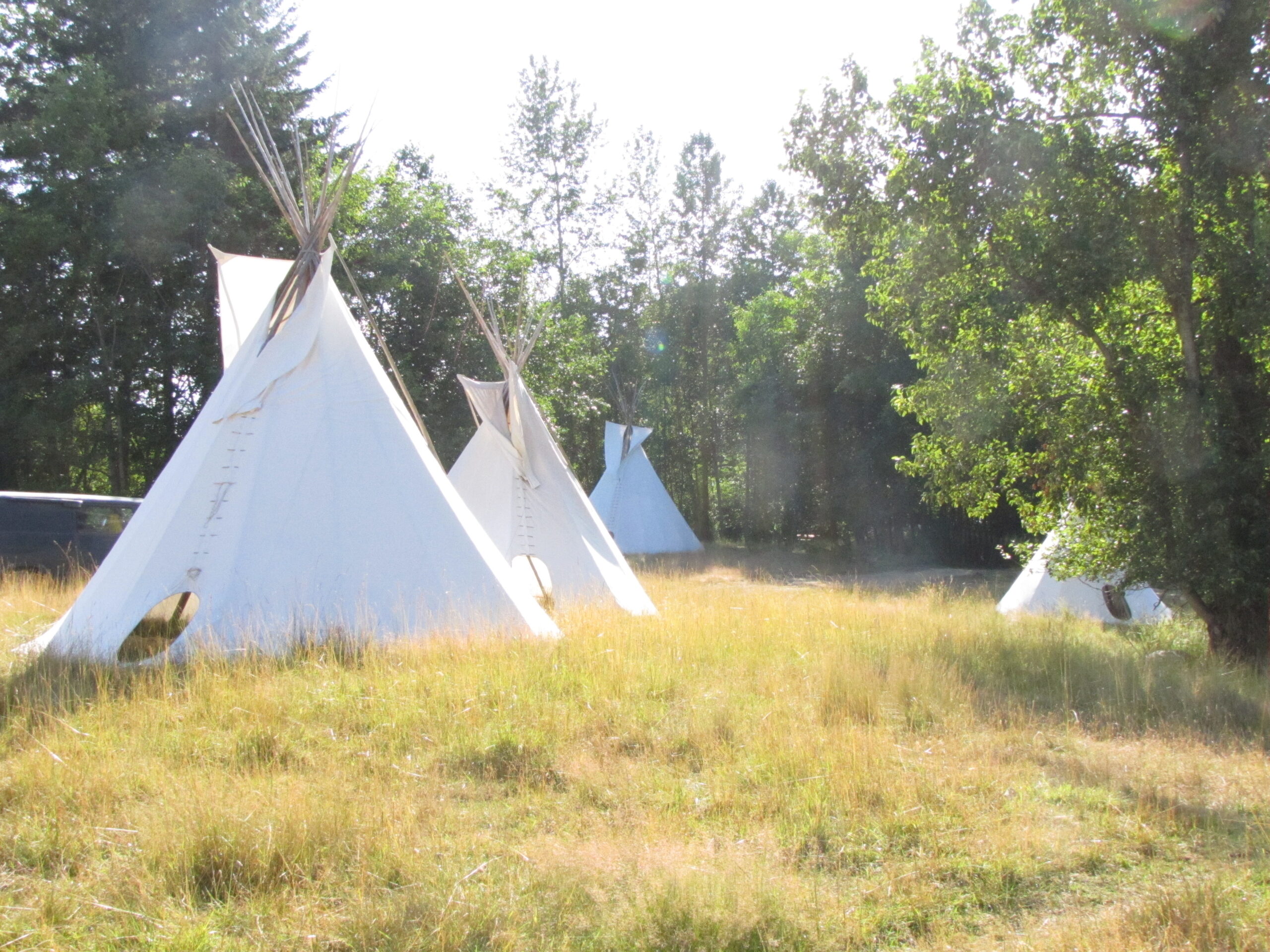 our-ecovillage-woodlands-and-scattering-grounds_5468872975_o