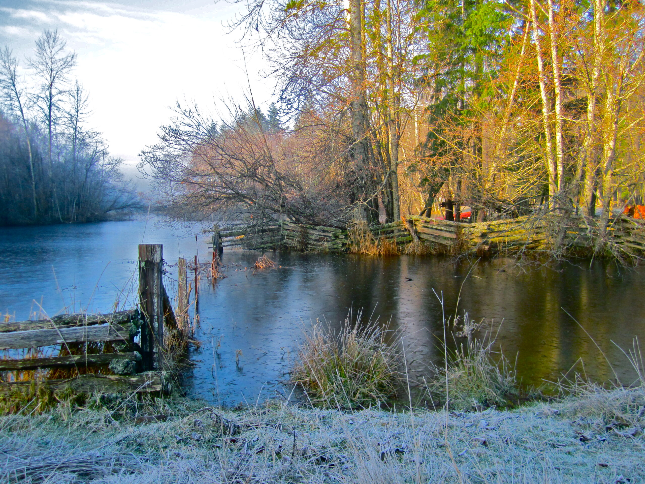 our-ecovillage-woodlands-and-scattering-grounds_5468879405_o