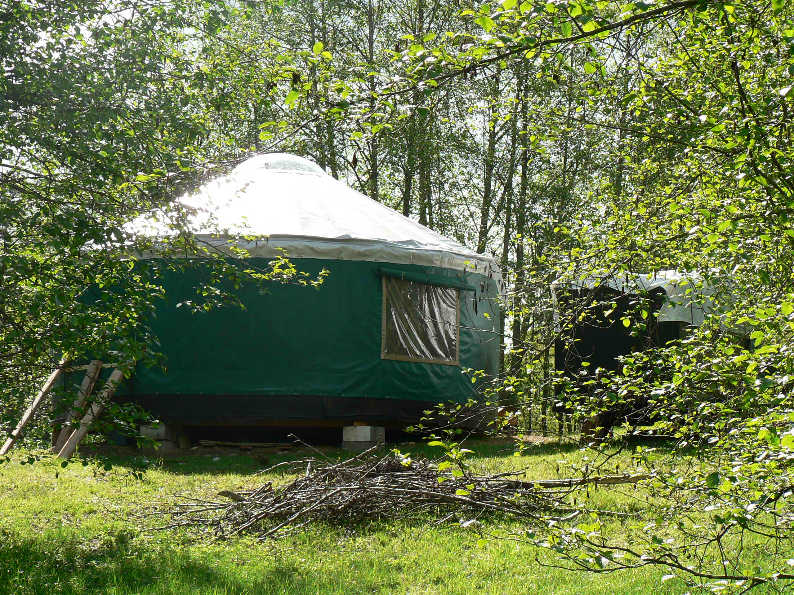 yurt from the back