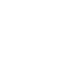 NSP-WhiteVerticalLogo.png