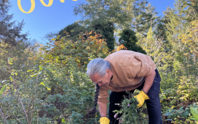 Fall 2026 Cooperative Report – O.U.R. Ecovillage